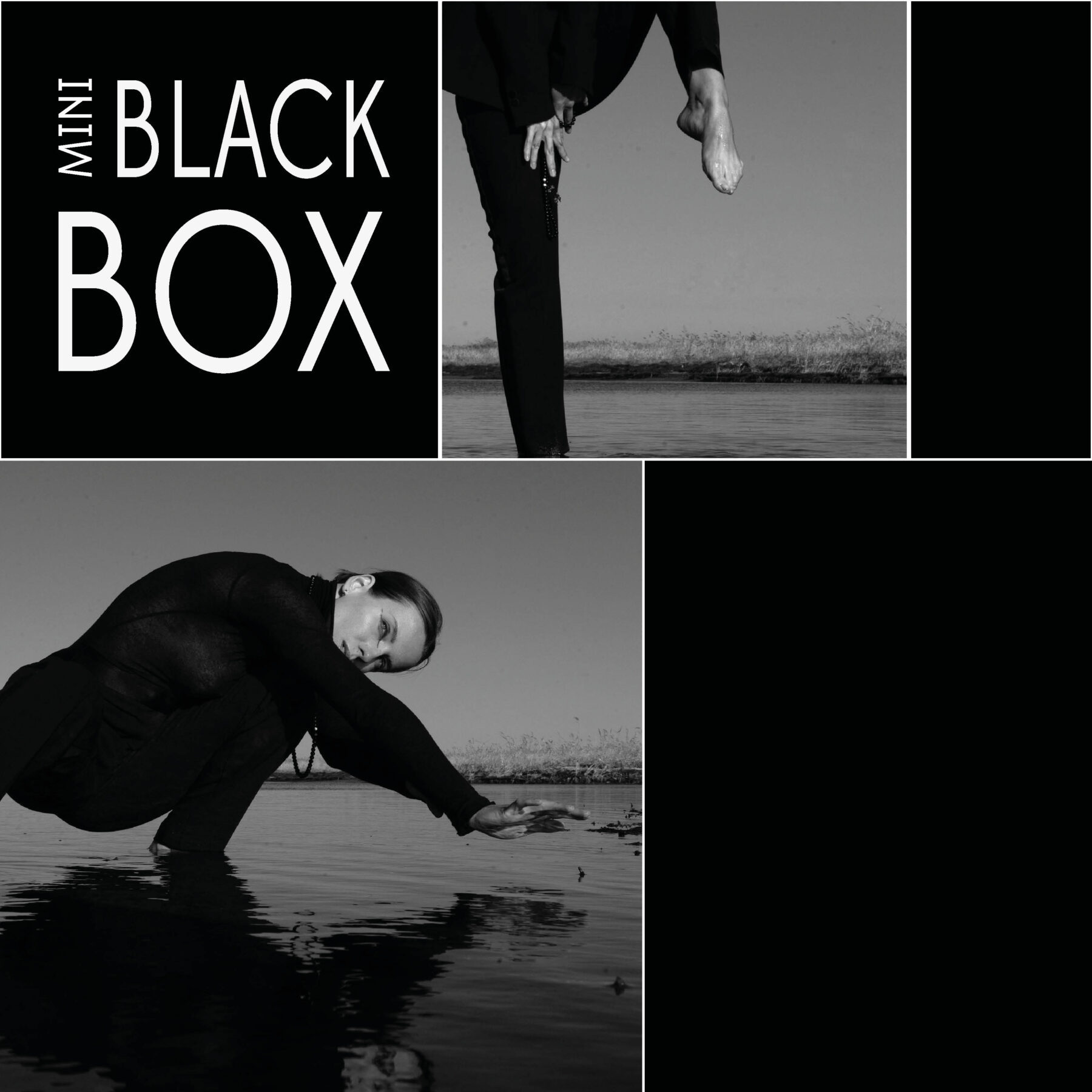 MINI BLACK BOX