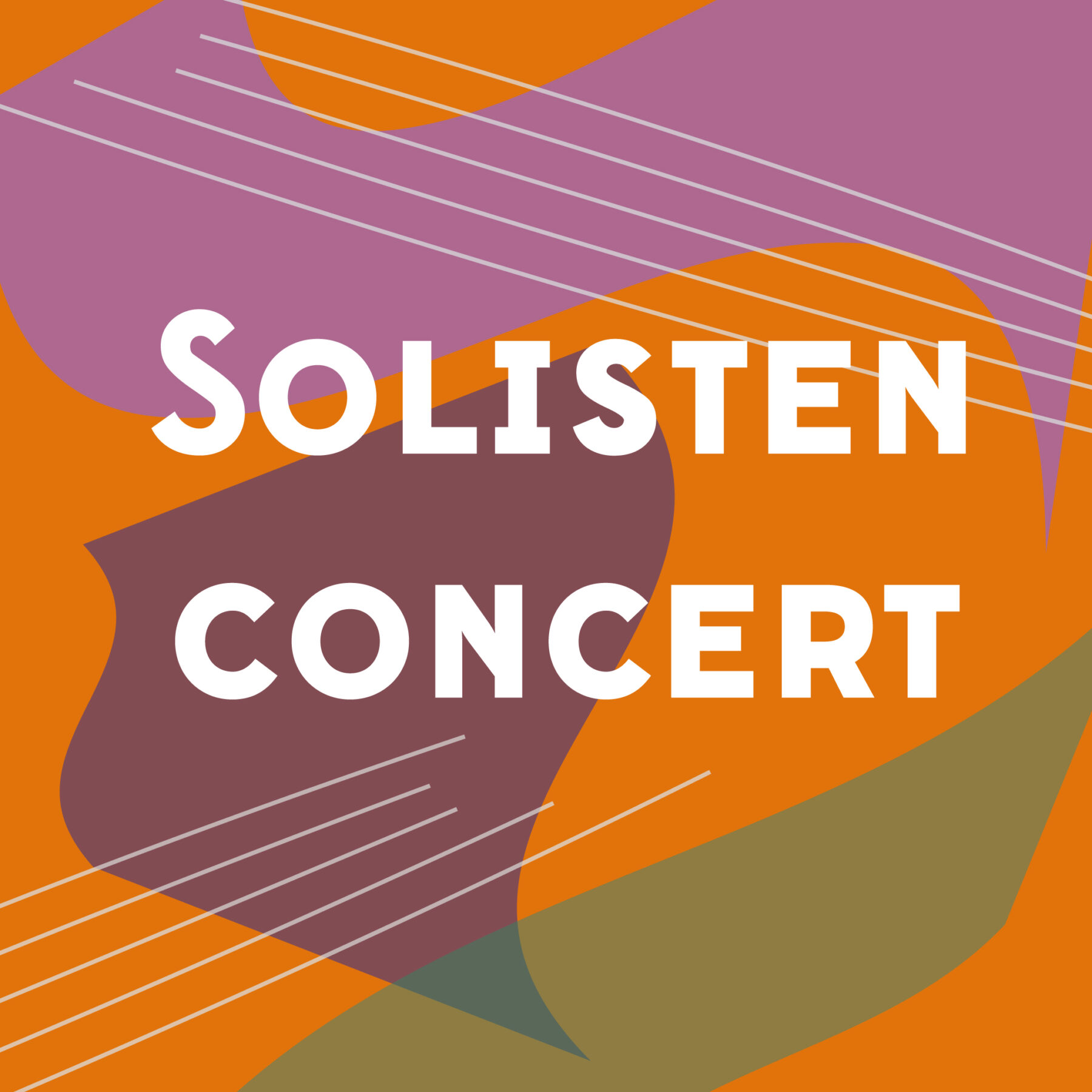 Solistenconcert